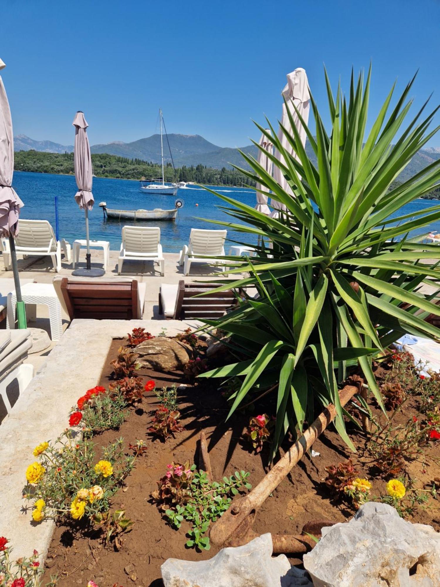 Franovic Apartments Tivat Kültér fotó